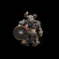Viking Raider