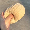 Peanut   Squeeze   Toy