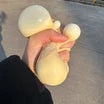 Peanut   Squeeze   Toy