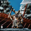 Viking   Raider